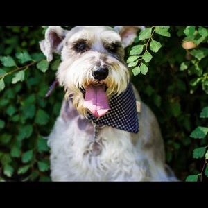 Meet your Posher, Denise